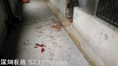 事發(fā)現(xiàn)場。圖/東方IC