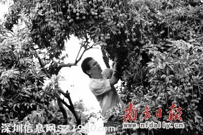 這個(gè)月到南山吃喝玩樂去！