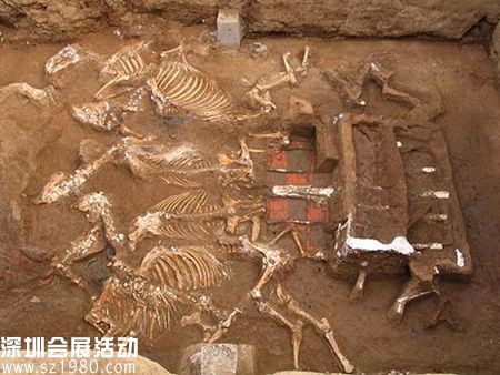 西安財院秦墓出土的 天子駕六 （陜西省考古研究院 圖）  