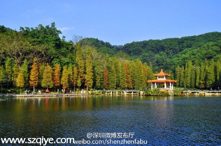 元宵節(jié)仙湖植物園交通管制 私家車禁止進(jìn)入