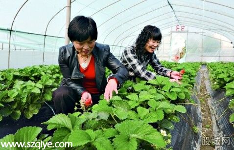 中國年輕人返鄉(xiāng)種地