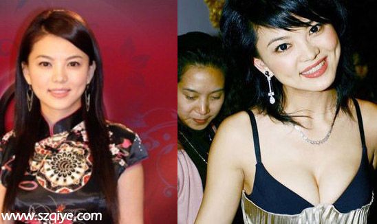 李湘魯豫董卿：富婆女主播私生活 拼車拼豪宅