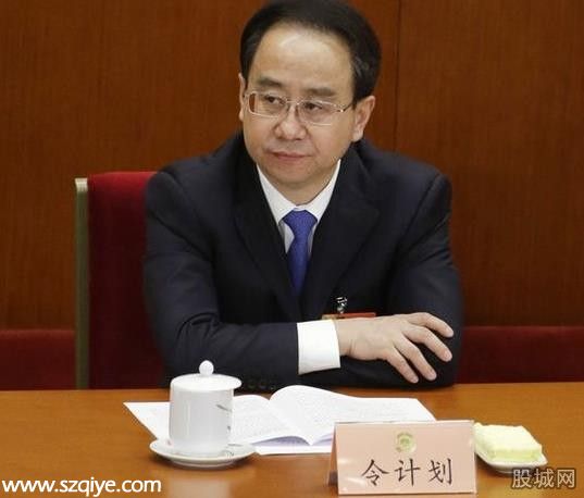 大老虎的夫人們