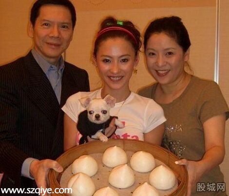 向華強(qiáng)批張柏芝