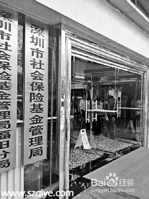 如何網(wǎng)上查詢深圳社保局本企業(yè)或單位和個人信息