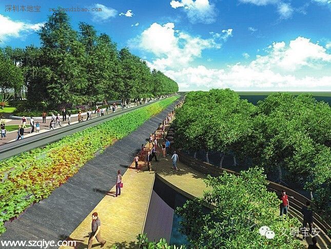 西灣紅樹(shù)林濕地公園將于7月底建成開(kāi)放