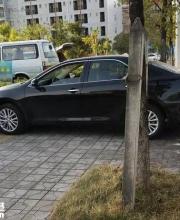 深圳高手表現(xiàn)最牛"停車(chē)" 交警也被震住啦