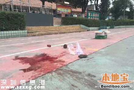 廣州小學(xué)生被校車壓死 疑在校車下?lián)鞏|西