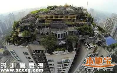 深圳違建產(chǎn)生原因到底是什么？