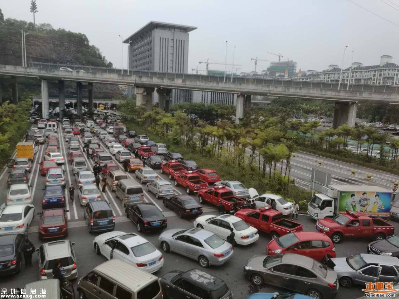 車輛扎堆辦遷出 車管所提醒車主理性安排時間