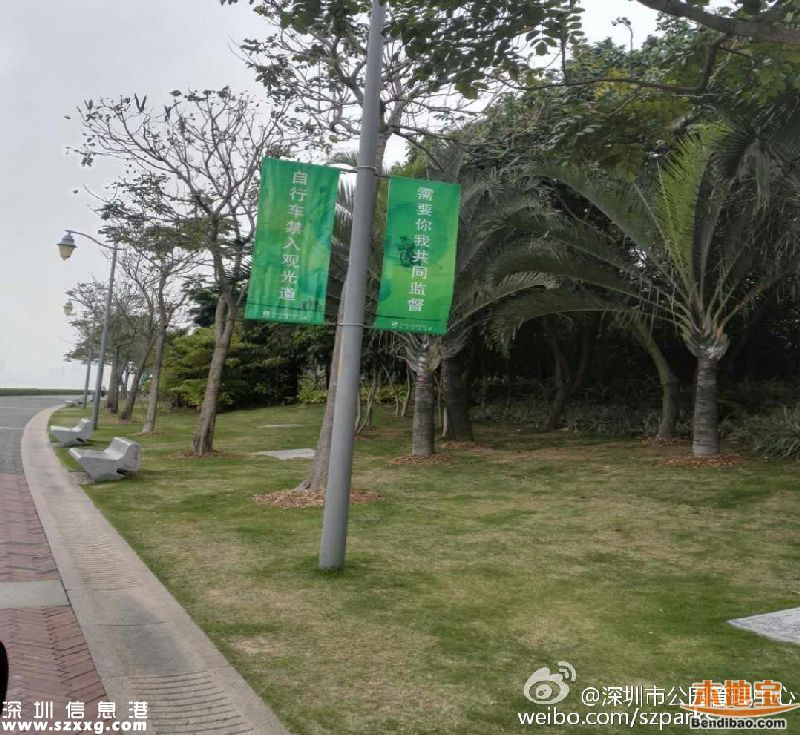 深圳灣公園人車混行怎么治？或增建7座橋