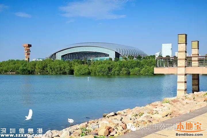 深圳灣公園人車混行怎么治？或增建7座橋