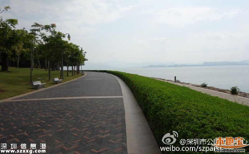深圳灣公園人車混行怎么治？或增建7座橋