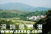大鵬推出5條特色徒步線路 原居民帶你游保安全