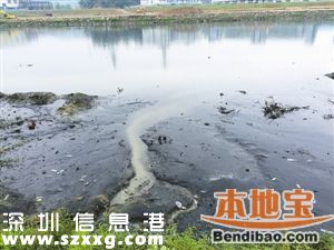 深圳8條河流水質(zhì)污染加重 飲用水源水質(zhì)100%達標