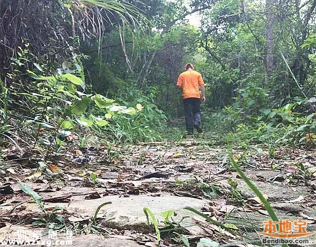 大鵬推出5條特色徒步線路 原居民帶你游保安全