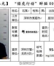 深圳交警曝光5大醉貓