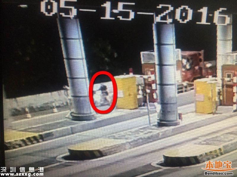 6旬老人騎電動車上高速被撞飛身亡 負主要責任