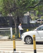 西麗車管所一帶“黃牛”擾人 車管所整治行政拘留3人