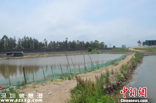 圖為：養(yǎng)殖場　溫嶺公安提供　攝