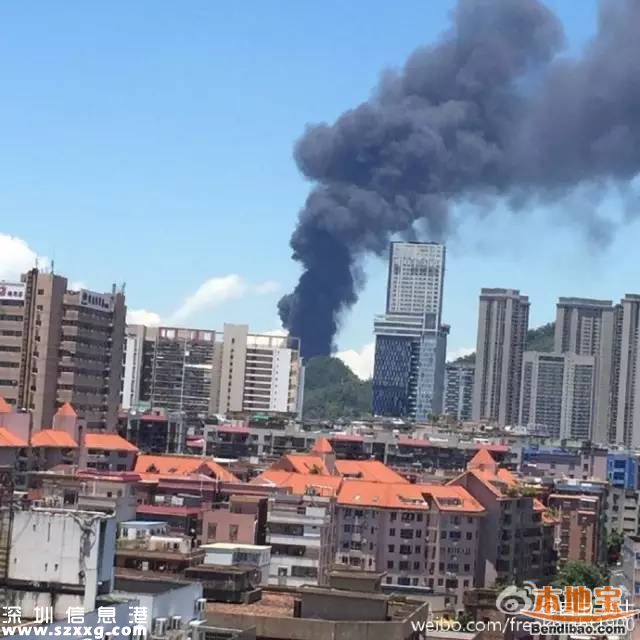 蛇口赤灣港突發(fā)大火 未發(fā)現(xiàn)易燃易爆物品(圖)