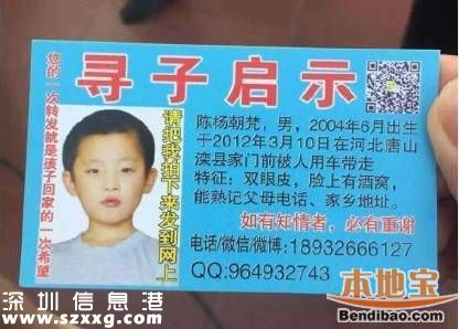 陳新剛尋子真相是什么？
