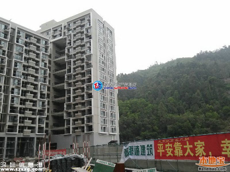 深圳龍瑞佳園公租房初審結(jié)果公示 合格28476戶名單
