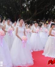 2016南山集體婚禮開始報名 收費標準僅999元