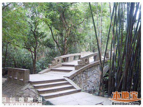 仙湖植物園門票能不能取消？