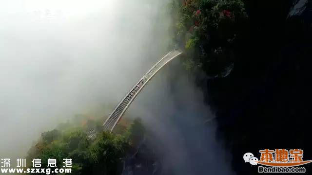神農(nóng)架申遺成功 中國有哪些世界遺產(chǎn)項目？