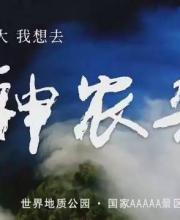 神農(nóng)架申遺成功 中國有哪些世界遺產(chǎn)項目？