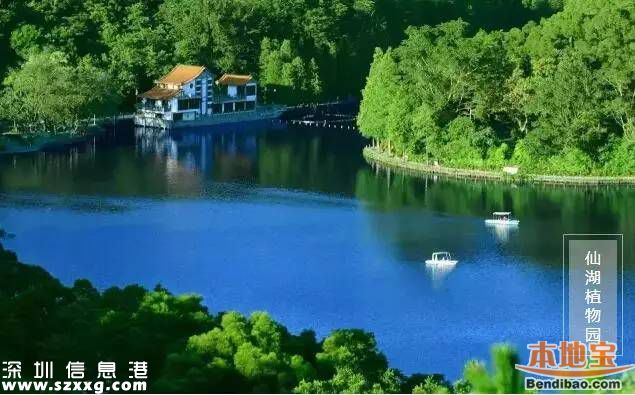 仙湖植物園門(mén)票下調(diào)至15元 免費(fèi)時(shí)段不變