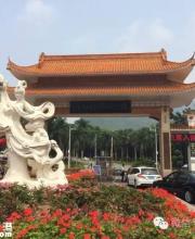 仙湖周六免票舉行開放日活動