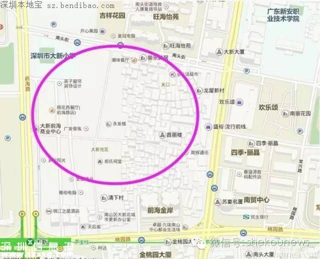 南山3塊黃金舊改:大新村 向南村 丁頭村
