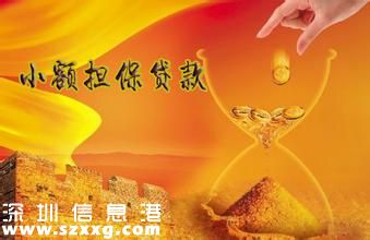 什么是小額擔(dān)保貸款