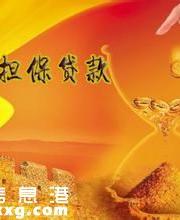 什么是小額擔(dān)保貸款?