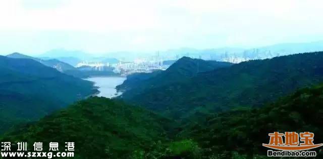 深圳地鐵7號線洪湖站實(shí)景圖曝光 吃喝玩樂最牛線
