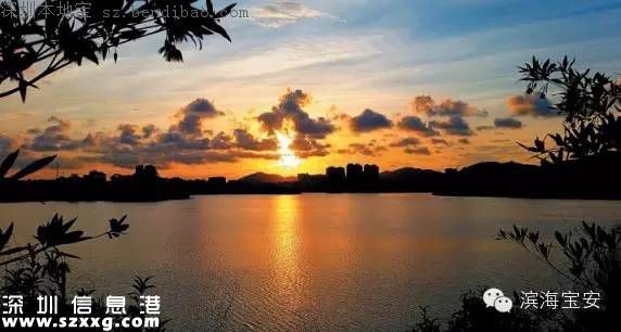 深圳立新湖三期或元旦開放 不去杭州就能游玩西湖