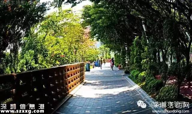 深圳立新湖三期或元旦開放 不去杭州就能游玩西湖