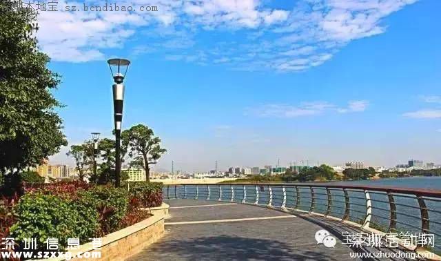 深圳立新湖三期或元旦開放 不去杭州就能游玩西湖