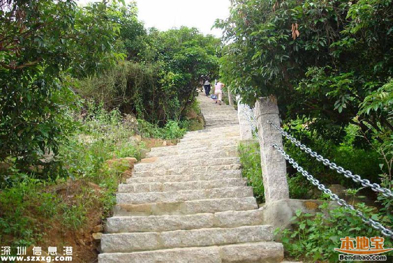 深圳仙湖植物園、塘朗山郊野公園 2公園禁止車輛通行