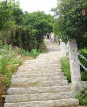 深圳仙湖植物園、塘朗山郊野公園 2公園禁止車(chē)輛通行