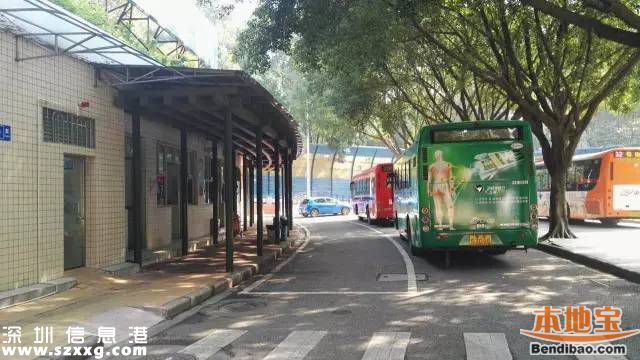 深圳試點(diǎn)推出網(wǎng)約巴士 25元直達(dá)廣州方便安全