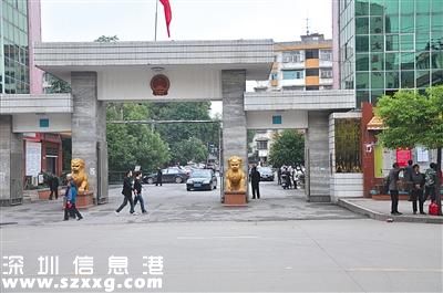 一副縣長被女子詐騙1500萬 知情人:智商嘆為觀止