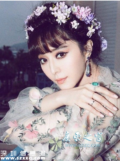 王思聰 黃段子 范冰冰 李晨 對罵 微博