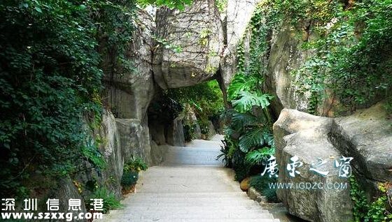 深圳留仙洞地鐵站附近有什么好玩的景點?