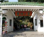 東湖公園人車混行問題突出 已采取限行措施