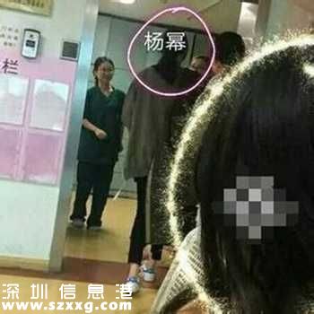 楊冪回應懷二胎:在醫(yī)院體驗生活 謝謝大家關心(圖）