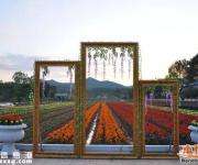 曼佗山莊