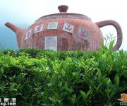 西巖茶鄉(xiāng)度假村